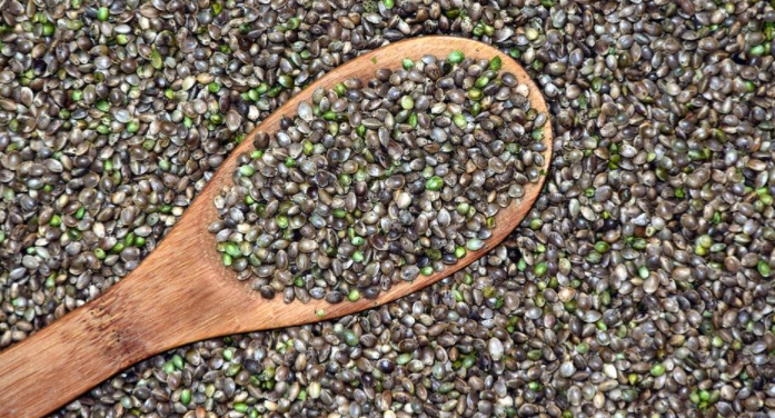 Facts About Cannabis Seeds