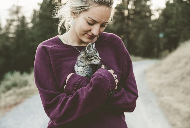 kitten